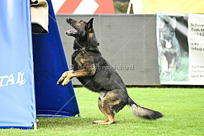 Jako von der Mördersdell