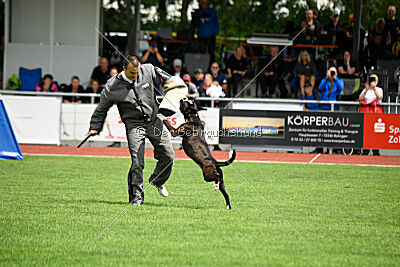 Jamas vom Normannstein