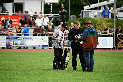 Jamas vom Normannstein