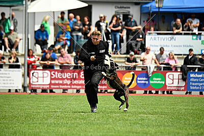 Jamas vom Normannstein