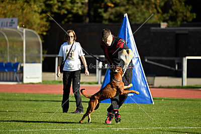 Januma vom Brömchen