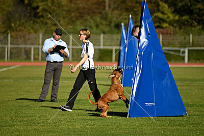 Januma vom Brömchen