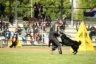 Jarak Perro de la Casa Negra