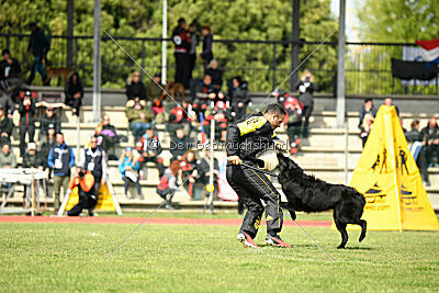 Jarak Perro de la Casa Negra