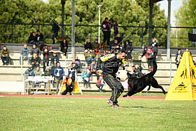 Jarak Perro de la Casa Negra