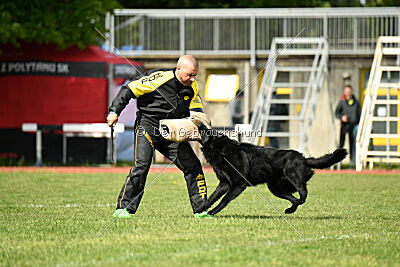 Jarak Perro de la Casa Negra