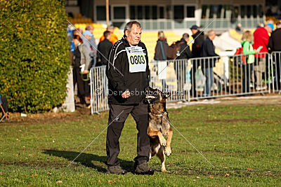 Jari vom Rothaarpark