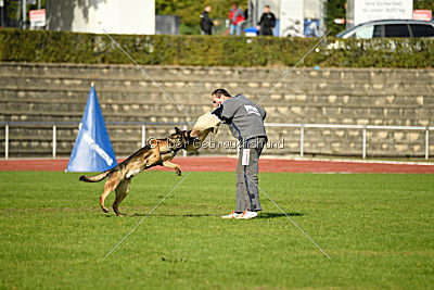 Jari vom Rothaarpark