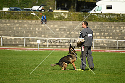 Jari vom Rothaarpark