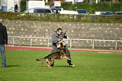 Jari vom Rothaarpark