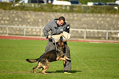 Jari vom Rothaarpark