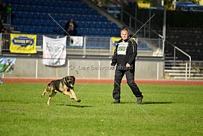 Jari vom Rothaarpark