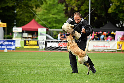 Jeannie de l'Etoile de l'Est