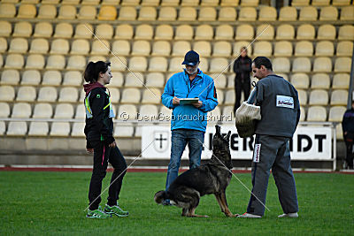 Jenny vom Kretzschauer Land