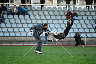 Jenny vom Kretzschauer Land
