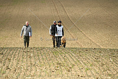 Jenny von den Unbestechlichen