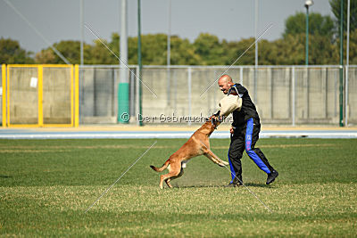 Jep van het Dreiland