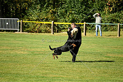 Jimmy vom Deisterhorst