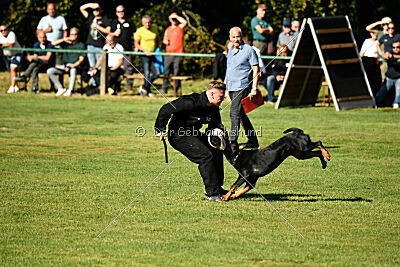 Jimmy vom Deisterhorst