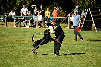 Jimmy vom Deisterhorst