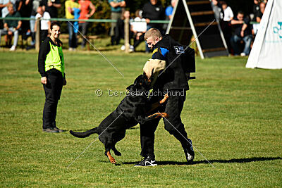 Jimmy vom Deisterhorst