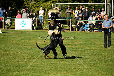 Jimmy vom Deisterhorst