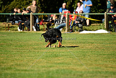 Jimmy vom Deisterhorst