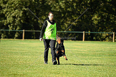 Jimmy vom Deisterhorst