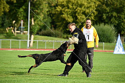 Jimmy von der Drachenhöhle