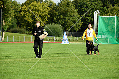 Jimmy von der Drachenhöhle
