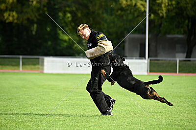 Jimmy von der Drachenhöhle