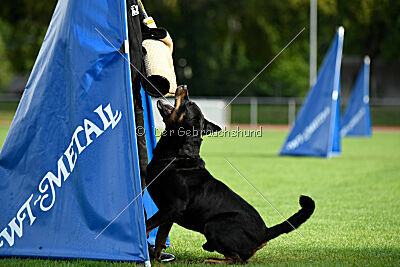 Jimmy von der Drachenhöhle