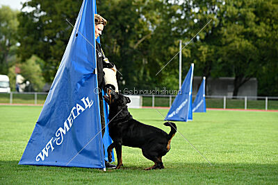 Jimmy von der Drachenhöhle