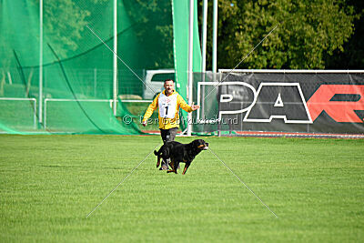 Jimmy von der Drachenhöhle