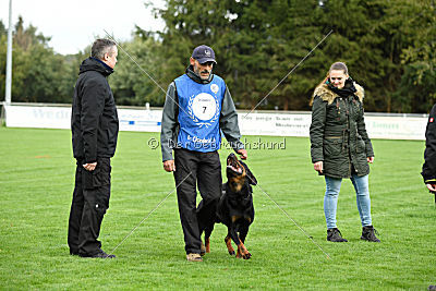 Joker vom Erler Teufelsstein