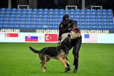 Jon Snow von der Briken