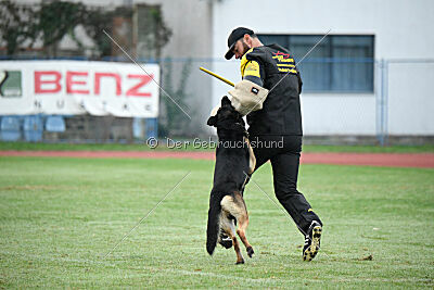 Jon Snow von der Briken