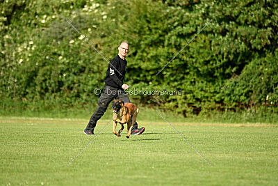 Jordan du Baudet Rouge