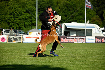 Jordan du Baudet Rouge