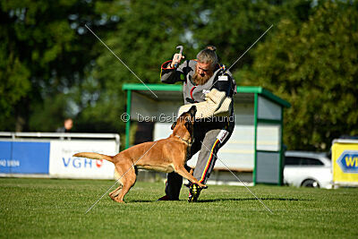 Jordan du Baudet Rouge