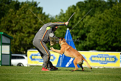 Jordan du Baudet Rouge