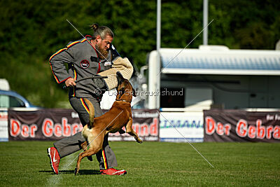Jordan du Baudet Rouge
