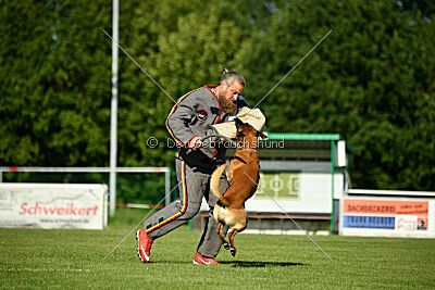 Jordan du Baudet Rouge