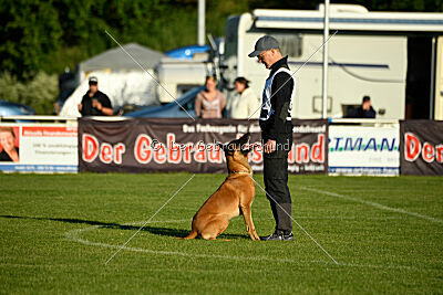 Jordan du Baudet Rouge