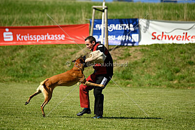 Jordan du Baudet Rouge