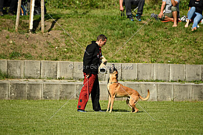 Jordan du Baudet Rouge