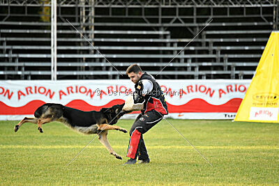 Jordan vom Kämpferherz