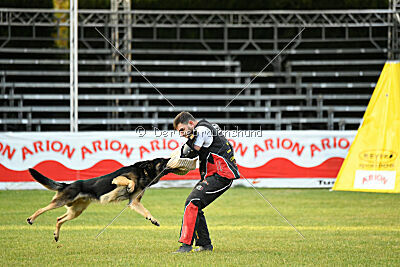 Jordan vom Kämpferherz