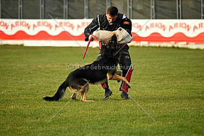 Jordan vom Kämpferherz