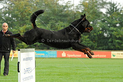 Joschi von der Lauterbrücke